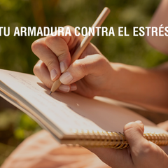 Pequeños rituales diarios que fortalecen tu salud mental