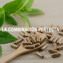 ¿Qué es la sinergia herbolaria?