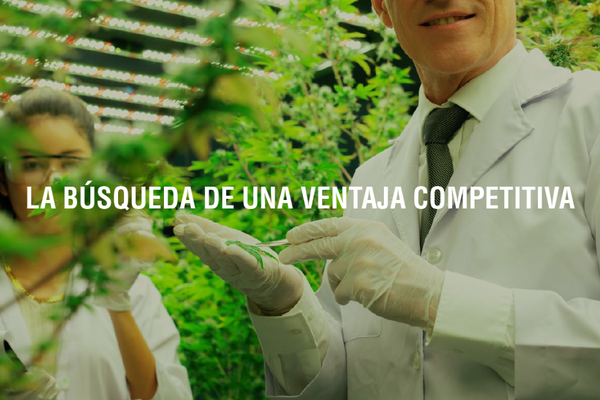 El origen del término adaptógeno: una historia de ciencia y resiliencia