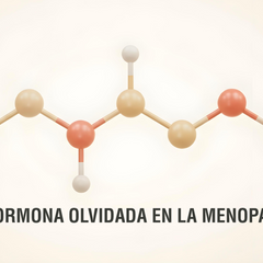 El estrógeno y su papel más allá de la fertilidad