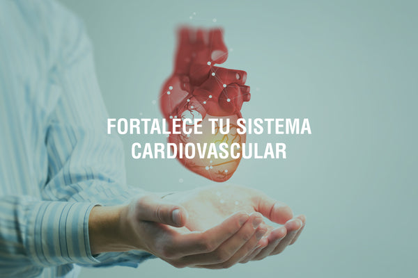 Consejos para establecer hábitos saludables que impulsen la salud de tu corazón