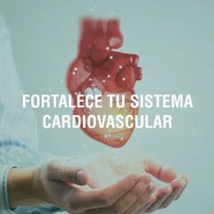 Consejos para establecer hábitos saludables que impulsen la salud de tu corazón