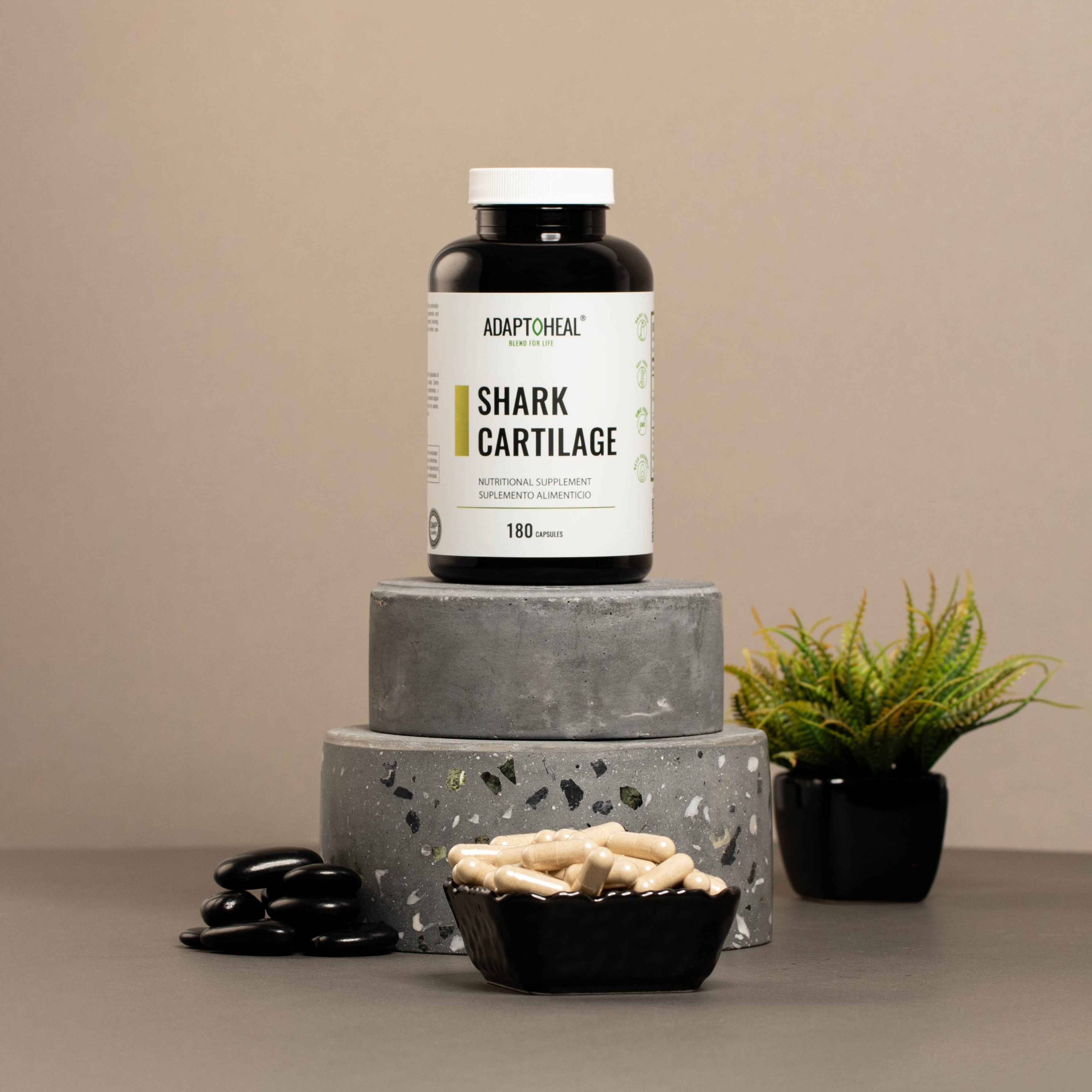 cartílago de tiburón para las articulaciones