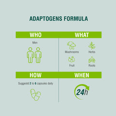 adaptógenos para la salud hormonal del hombre