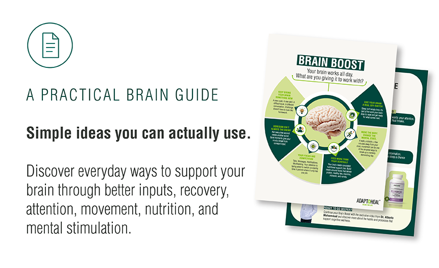 A Practical Brain Guide — Simple ideas you can actually use. Discover everyday ways to support your brain through better inputs, recovery, attention, movement, nutrition, and mental stimulation.
