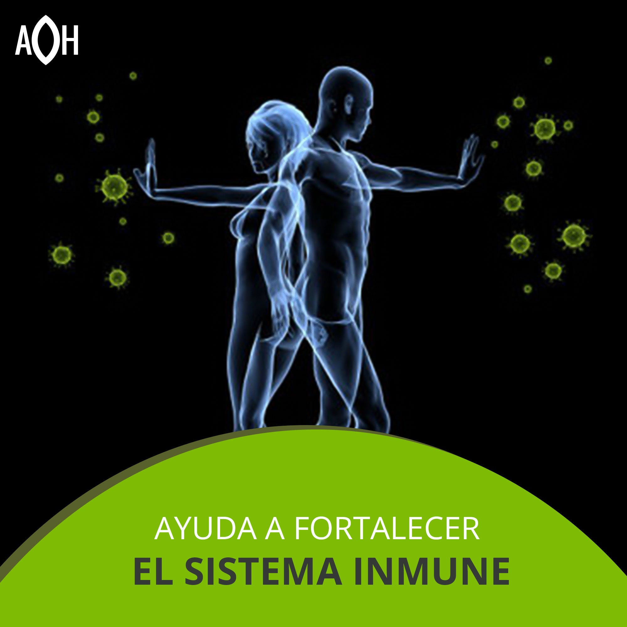 adaptógenos para el sistema inmune