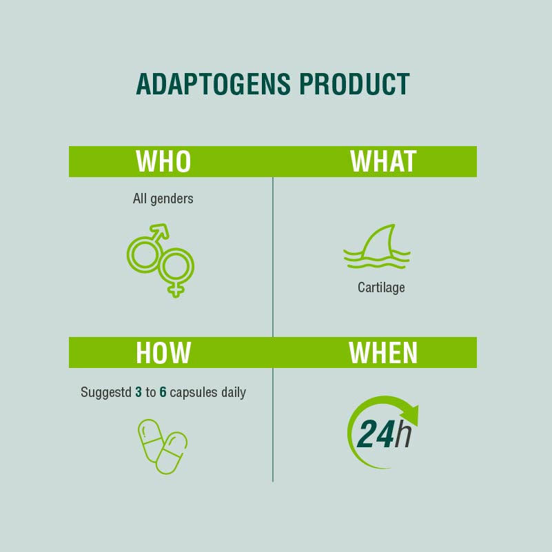 sistema óseo y articular