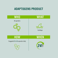 sistema óseo y articular