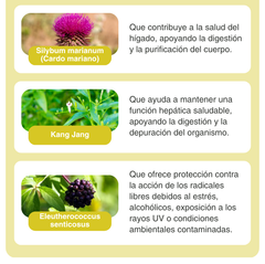 LIVERHEAL with adaptogens for liver health - 180 Caplets