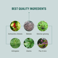 plantas adaptógenas para el sistema inmunológico