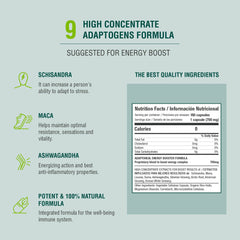 plantas adaptógenas para aumentar la energía