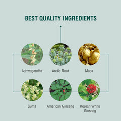 adaptógenos activos en Energyheal