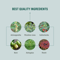 plantas con adaptógenos para modular el sistema inmunológico