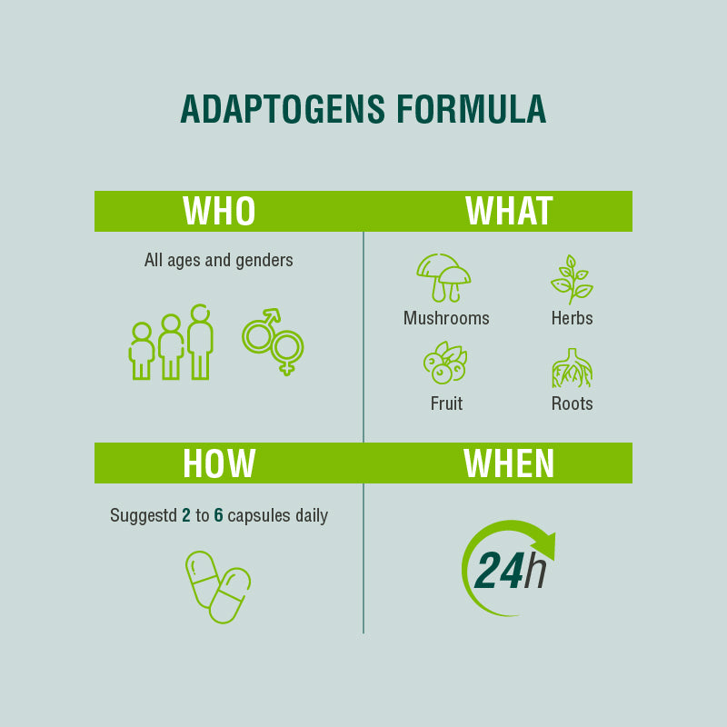 plantas con adaptógenos para modular el sistema inmunológico