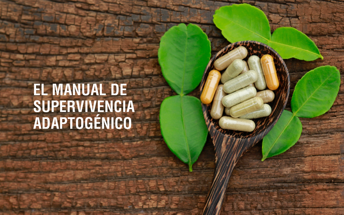 Tu fórmula ideal según cómo vivas diciembre