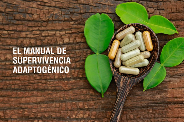 Tu fórmula ideal según cómo vivas diciembre
