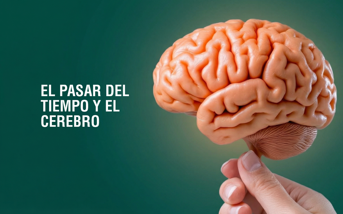 Funciones cognitivas y envejecimiento