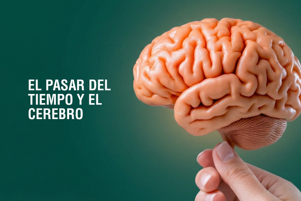 Funciones cognitivas y envejecimiento
