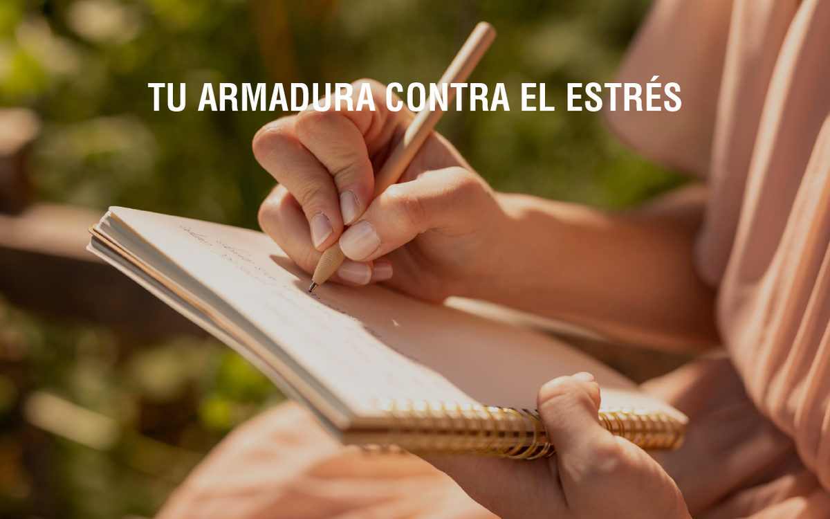 Pequeños rituales diarios que fortalecen tu salud mental
