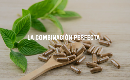 ¿Qué es la sinergia herbolaria?