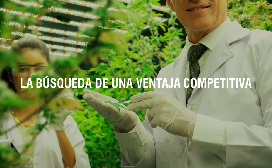 El origen del término adaptógeno: una historia de ciencia y resiliencia
