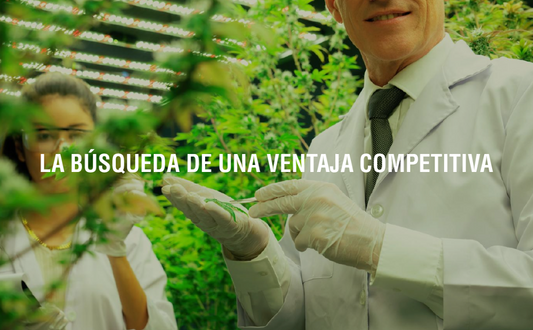 El origen del término adaptógeno: una historia de ciencia y resiliencia