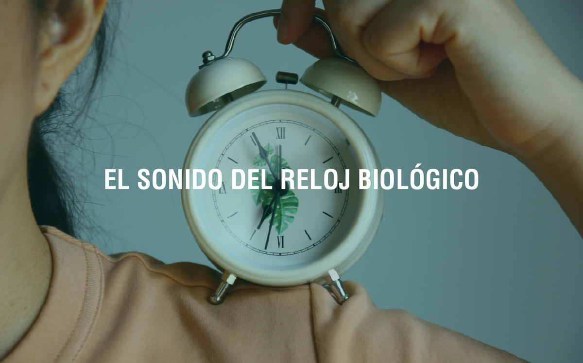 Ciclo circadiano: qué es, cómo funciona y su impacto en tu sueño y hormonas