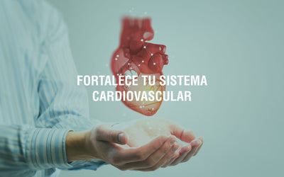 Consejos para establecer hábitos saludables que impulsen la salud de tu corazón