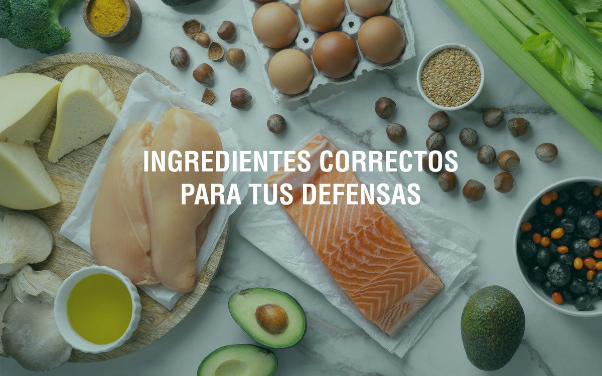 Alimentación y sistema inmune