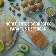 Alimentación y sistema inmune