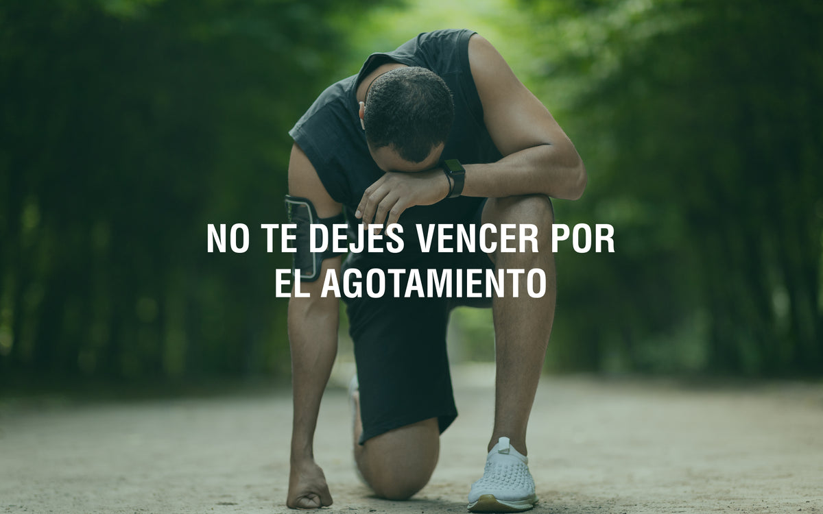Adaptógenos y el síndrome de burnout