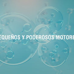 Back to Basics: Let's Talk About Mitochondrial Energy