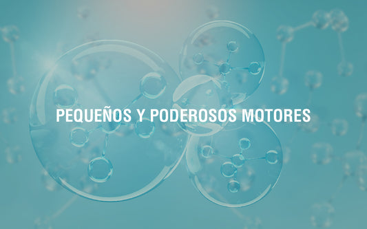 Vayamos a la base, hablemos de la energía mitocondrial