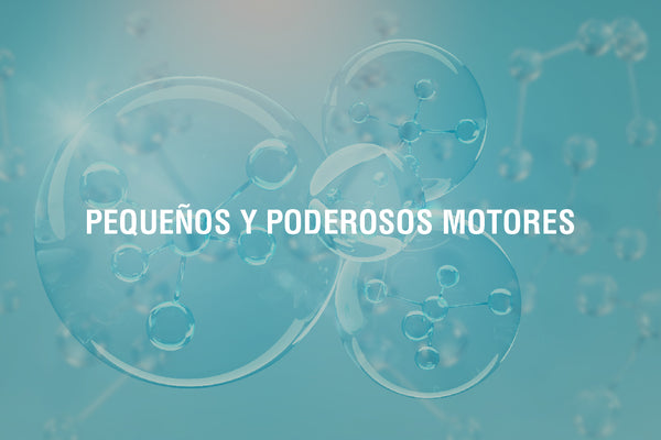 Vayamos a la base, hablemos de la energía mitocondrial