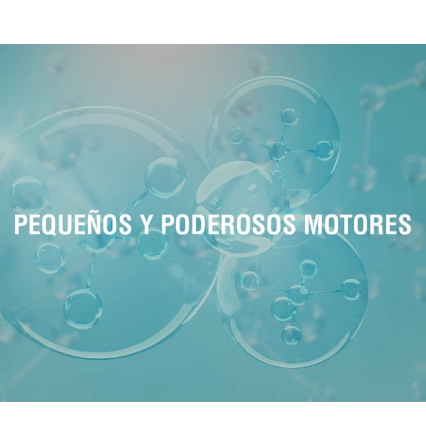 Vayamos a la base, hablemos de la energía mitocondrial