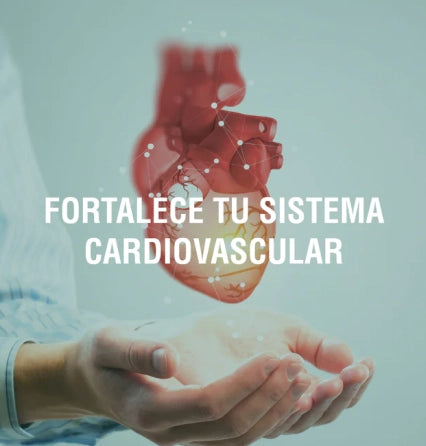 Consejos para establecer hábitos saludables que impulsen la salud de tu corazón