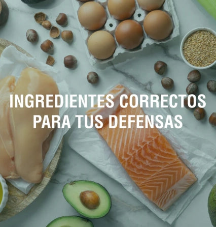 Alimentación y sistema inmune