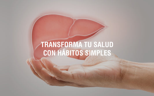 Guía integral para un hígado saludable