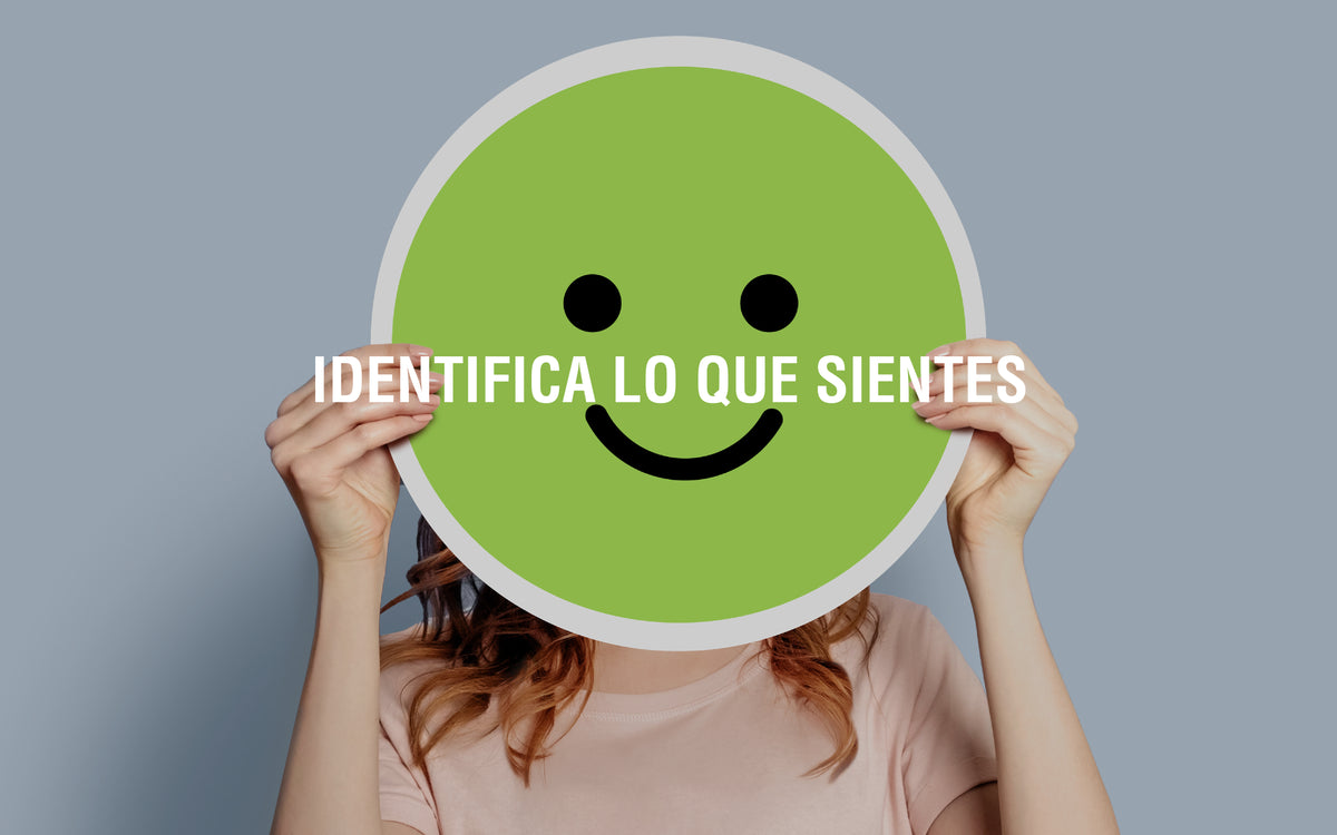 Aprendiendo a comprender  y gestionar emociones intensas