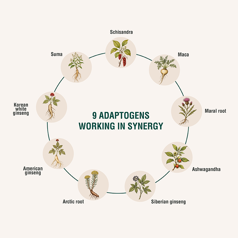 ENERGYHEAL | Herbal Complement for Daily Vitality