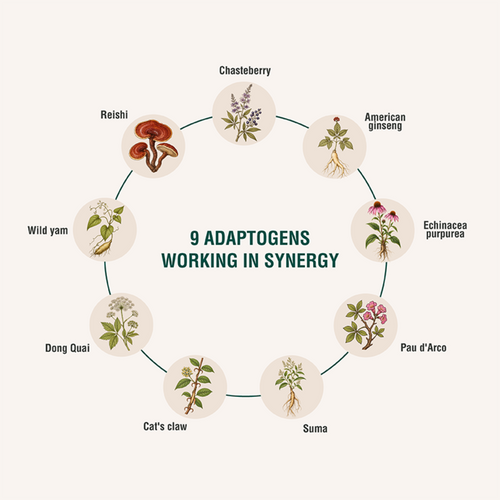 HORMOBALANCE | Botanical Blend for Daily Female Wellness