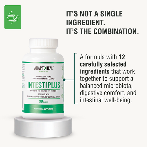 INTESTIPLUS | Botanical Blend for Daily Digestive Wellness