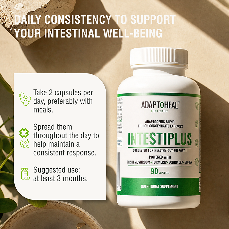 INTESTIPLUS | Botanical Blend for Daily Digestive Wellness