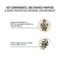 OREGANO OIL | Suplemento herbal diario con carvacrol