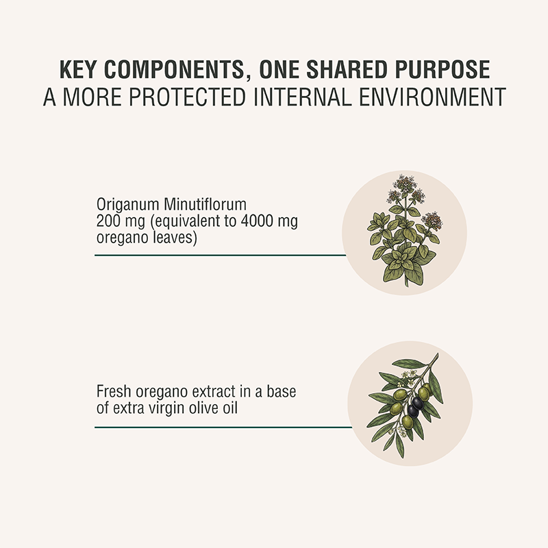OREGANO OIL - Daily Herbal Supplement with Carvacrol