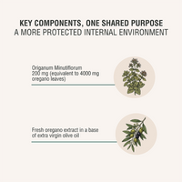 OREGANO OIL - Daily Herbal Supplement with Carvacrol
