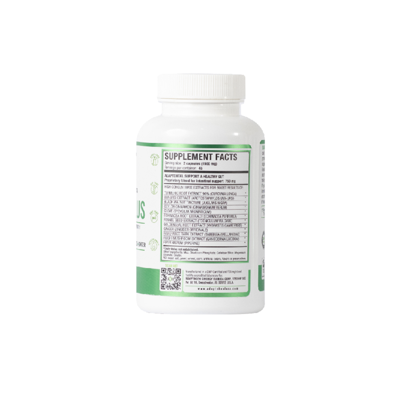 INTESTIPLUS 180 Caps | Natural supplement to support gut health