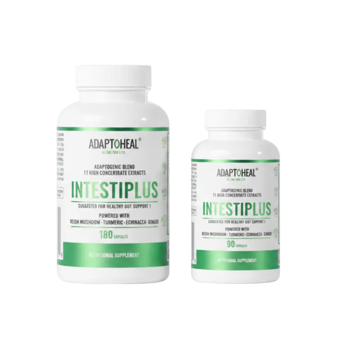 INTESTIPLUS | Botanical Blend for Daily Digestive Wellness