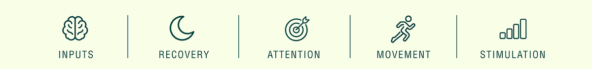 Inputs, Recovery, Attention, Movement, Stimulation